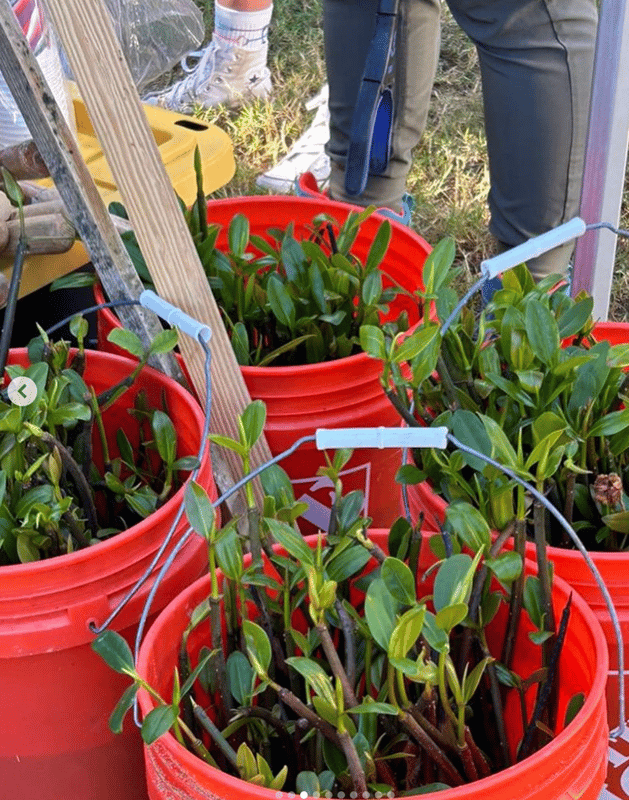 Screenshot 2024-01-21 at 5.29.59 PM